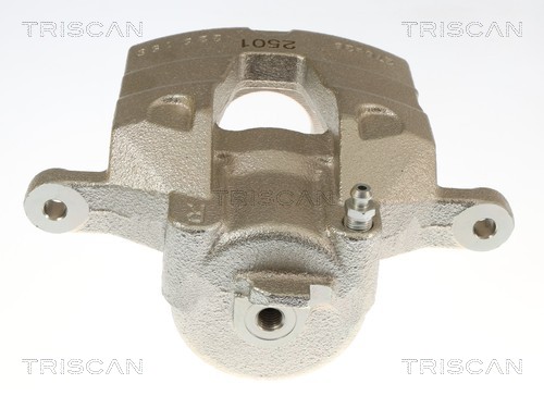 Pinza de freno Triscan A/S ref. 8170 345641