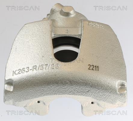 Pinza de freno Triscan A/S ref. 8175 10108