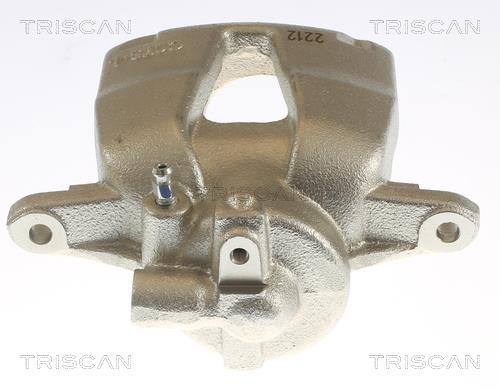 Pinza de freno Triscan A/S ref. 8175 10109