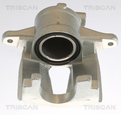 Étrier de frein Triscan A/S ref. 8175 10110