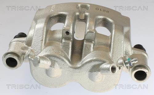 Pinza de freno Triscan A/S ref. 8175 10113