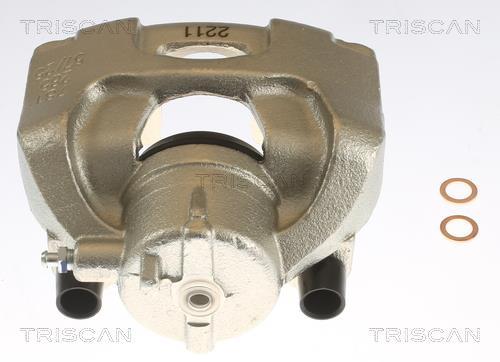Pinza de freno Triscan A/S ref. 8175 10121