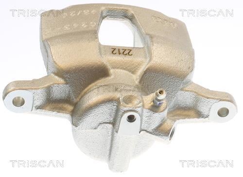 Pinza de freno Triscan A/S ref. 8175 10130