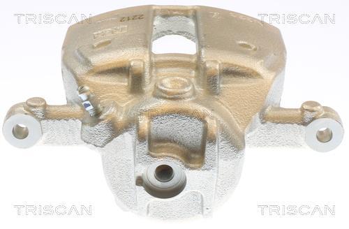 Pinza de freno Triscan A/S ref. 8175 10133