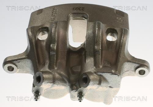 Pinza de freno Triscan A/S ref. 8175 10137