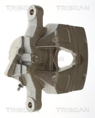 Pinza de freno Triscan A/S ref. 8175 10140