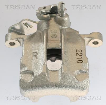 Pinza de freno Triscan A/S ref. 8175 10202