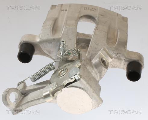 Pinza de freno Triscan A/S ref. 8175 10206