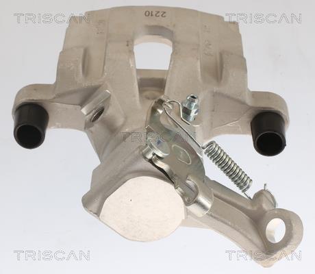 Étrier de frein Triscan A/S ref. 8175 10207