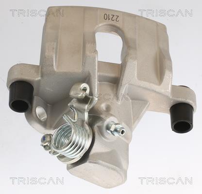 Pinza de freno Triscan A/S ref. 8175 10212