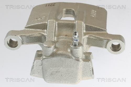 Pinza de freno Triscan A/S ref. 8175 10213