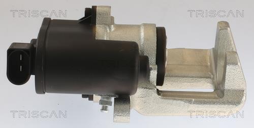 Pinza de freno Triscan A/S ref. 8175 10216