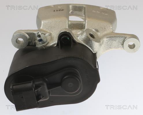 Pinza de freno Triscan A/S ref. 8175 10216