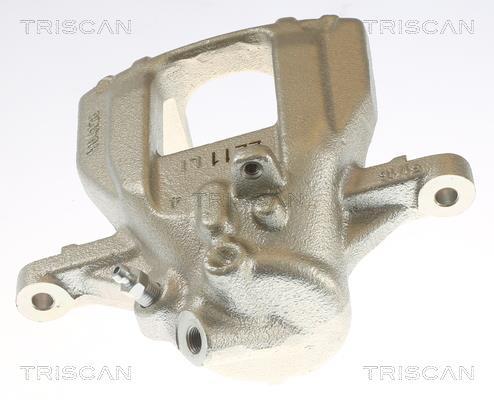 Pinza de freno Triscan A/S ref. 8175 10219
