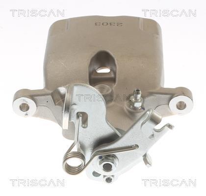 Pinza de freno Triscan A/S ref. 8175 10225