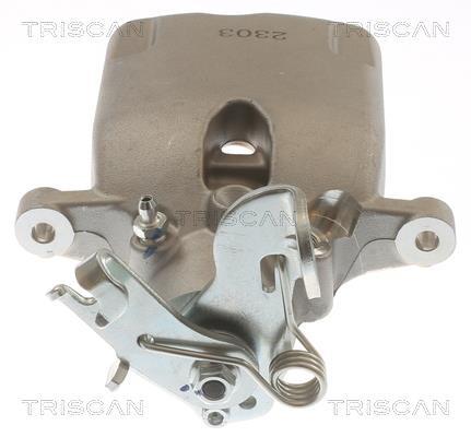 Pinza de freno Triscan A/S ref. 8175 10226