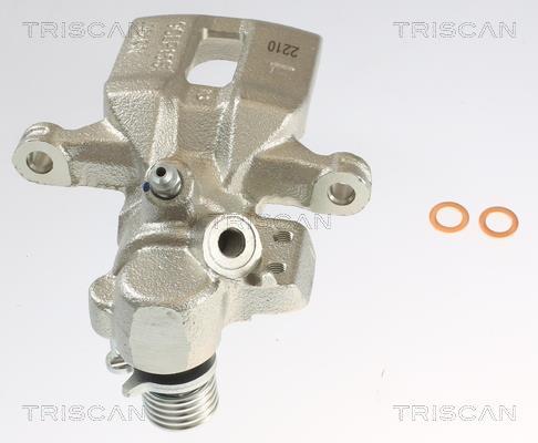 Pinza de freno Triscan A/S ref. 8175 10227