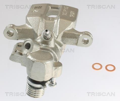 Pinza de freno Triscan A/S ref. 8175 10228