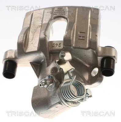 Étrier de frein Triscan A/S ref. 8175 10229