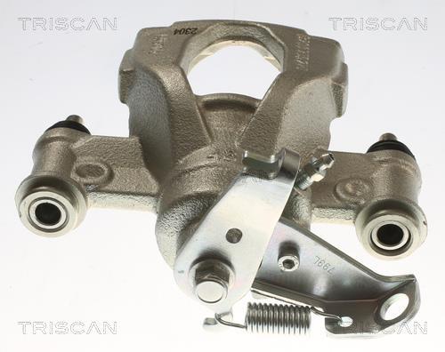 Pinza de freno Triscan A/S ref. 8175 10237