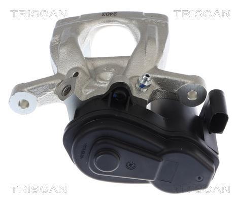 Pinza de freno Triscan A/S ref. 8175 10247
