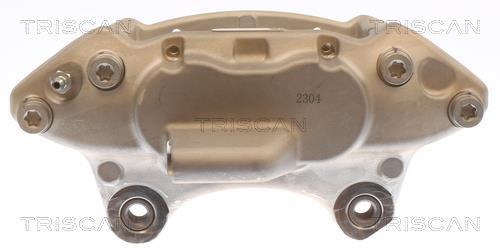 Pinza de freno Triscan A/S ref. 8175 11113