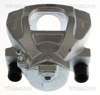 Pinza de freno Triscan A/S ref. 8175 11115