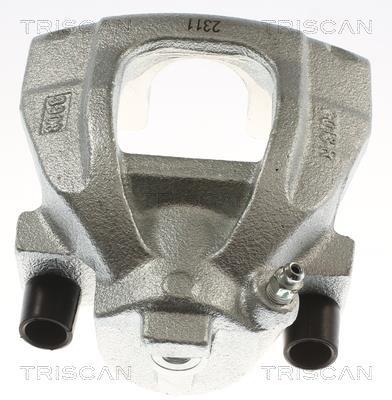 Pinza de freno Triscan A/S ref. 8175 11116