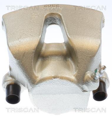 Pinça de travão Triscan A/S ref. 8175 11125