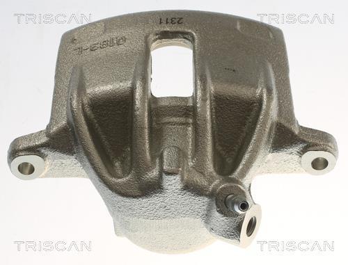 Pinza de freno Triscan A/S ref. 8175 11133