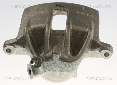 Pinza de freno Triscan A/S ref. 8175 11134