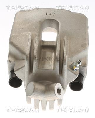 Pinza de freno Triscan A/S ref. 8175 11225