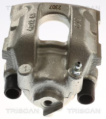 Pinza de freno Triscan A/S ref. 8175 11229