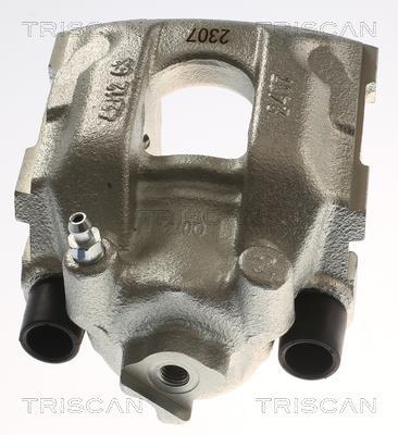 Pinza de freno Triscan A/S ref. 8175 11230