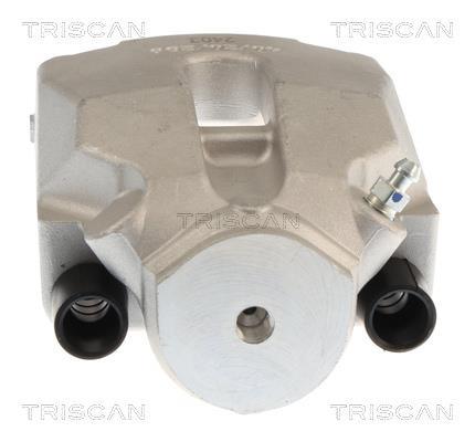 Pinza de freno Triscan A/S ref. 8175 11243