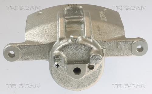 Pinza de freno Triscan A/S ref. 8175 13101