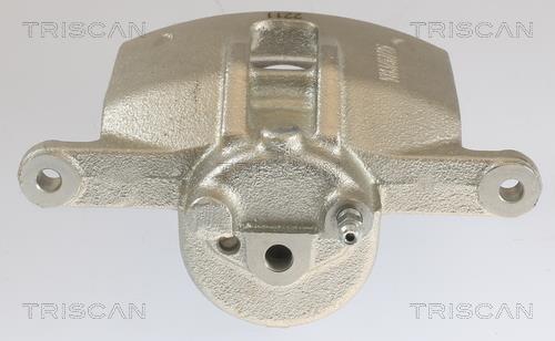 Pinza de freno Triscan A/S ref. 8175 13102