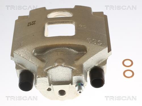 Pinza de freno Triscan A/S ref. 8175 13104