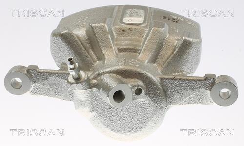 Étrier de frein Triscan A/S ref. 8175 13109