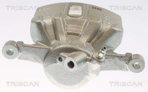 Pinza de freno Triscan A/S ref. 8175 13110