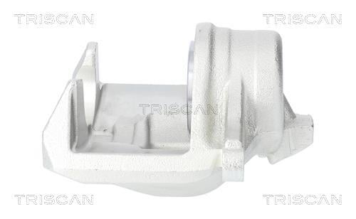 Pinza de freno Triscan A/S ref. 8175 13112