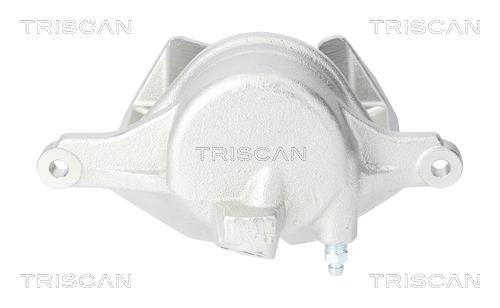 Pinza de freno Triscan A/S ref. 8175 13112