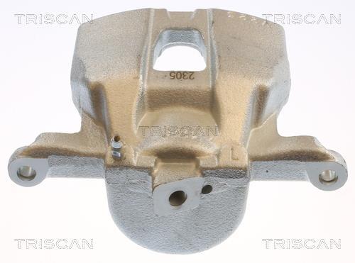 Pinza de freno Triscan A/S ref. 8175 13113