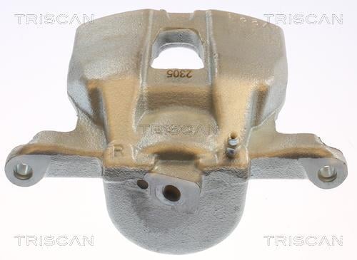 Pinza de freno Triscan A/S ref. 8175 13114