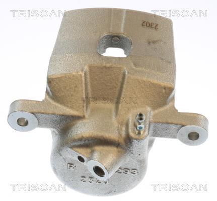 Étrier de frein Triscan A/S 8175 13120