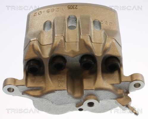 Pinza de freno Triscan A/S ref. 8175 13123