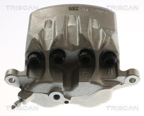 Pinza de freno Triscan A/S ref. 8175 13124