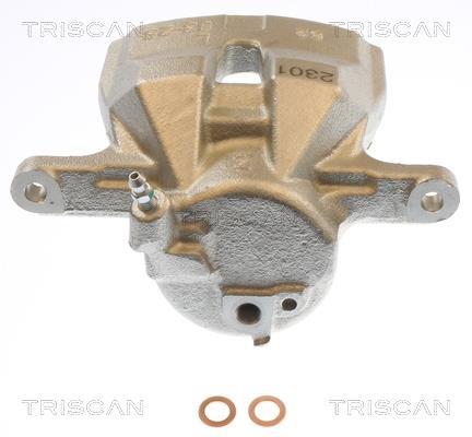 Pinza de freno Triscan A/S ref. 8175 13127