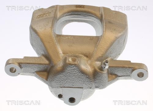 Pinza de freno Triscan A/S ref. 8175 13134