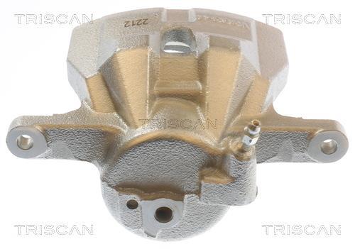Pinza de freno Triscan A/S ref. 8175 13138